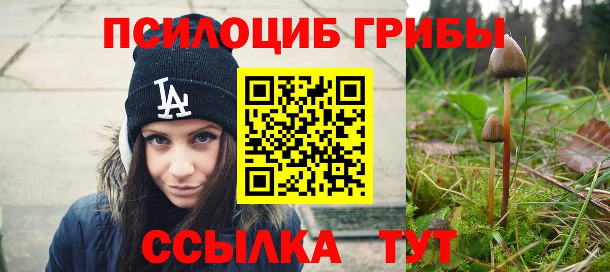 Псилоцибиновые грибы Cubensis  Вход с VPN  Верхняя Пышма  купить наркотик  Псилоцибиновые грибы GOLDEN TEACHER 
